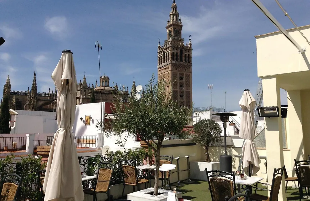 Hotel Palacio Alcazar-1